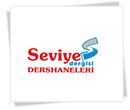 seviye dersaneleri minibus reklamları